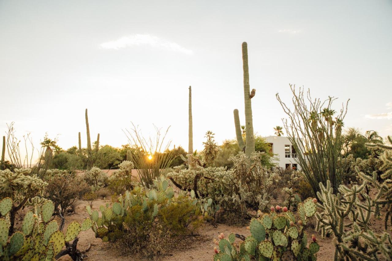 The Jth Tucson Hotel Avra Exterior photo