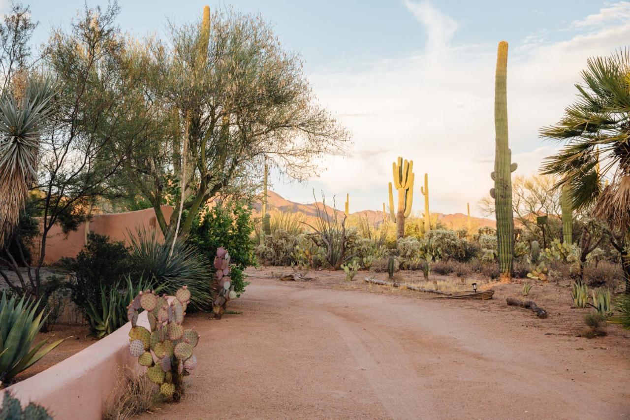 The Jth Tucson Hotel Avra Exterior photo